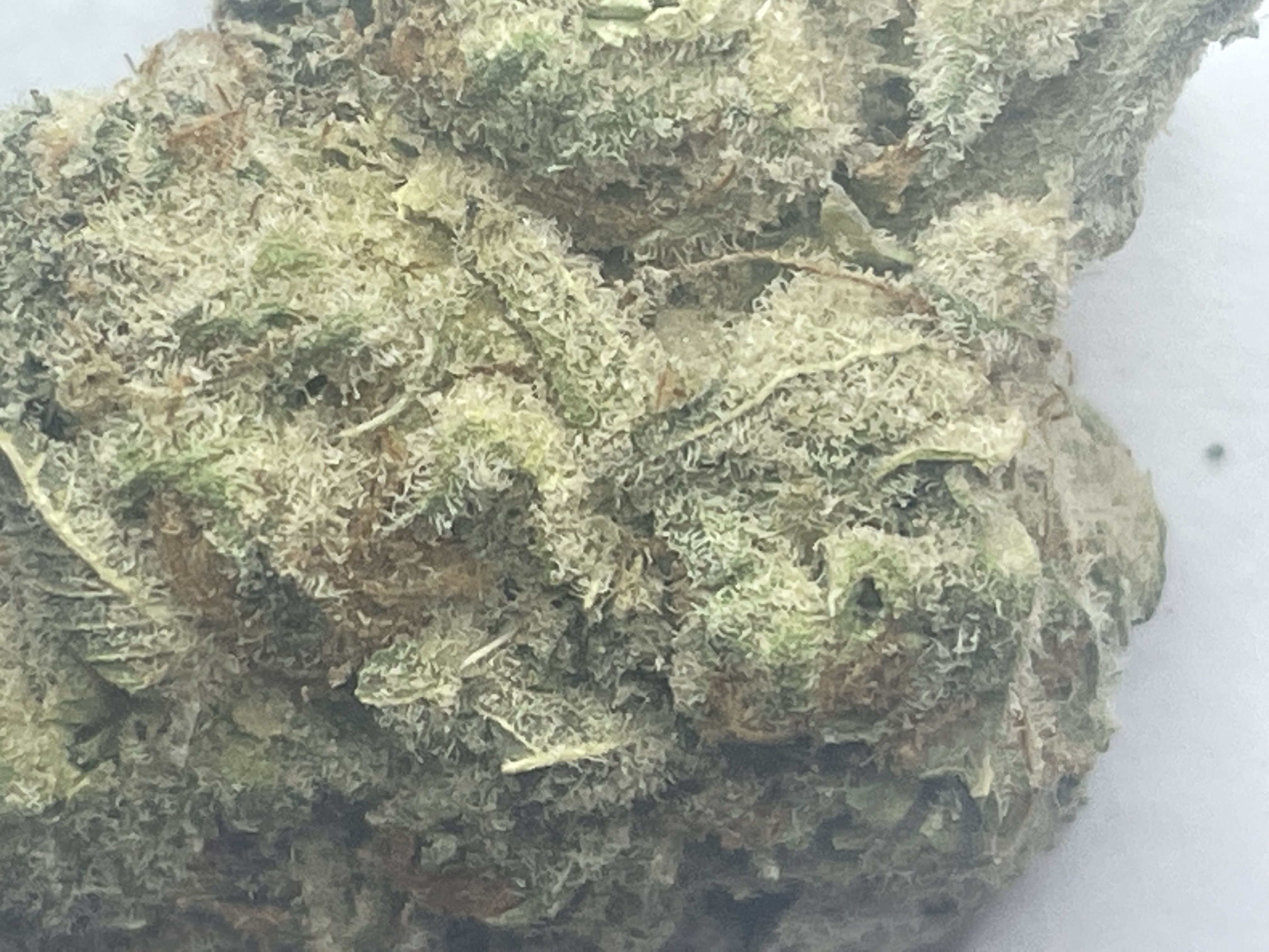 picture of strain name