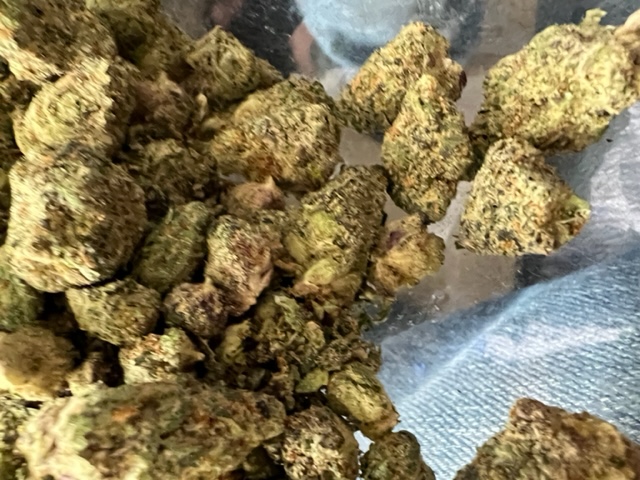 picture of strain name